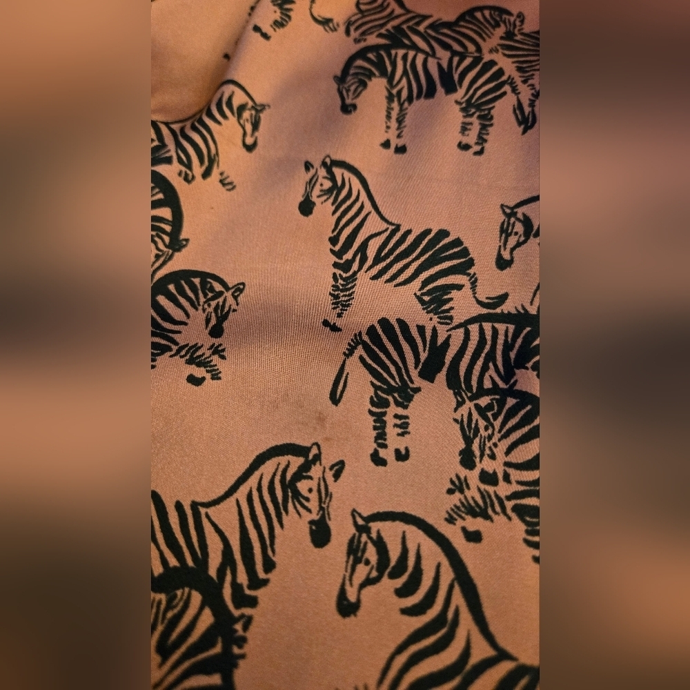 Zara Zebra Print Dress - size small - Picture 5 of 11